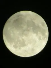 Moonの画像