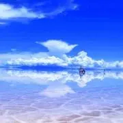sacchinの画像