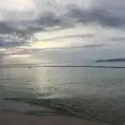 ひかる