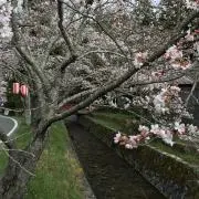 さっとーめんの画像