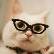 ネコメガネの画像