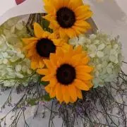 ユイ之助【土日10%OFF!!】の画像