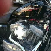majesty7
