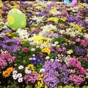 らら✨必ずプロフィールをお読みください✨の画像