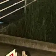うち
