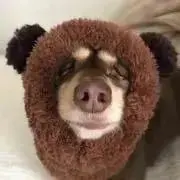 めっち♡の画像