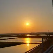 ショーンの画像