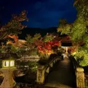 tkの画像