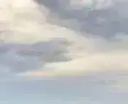 エピの画像