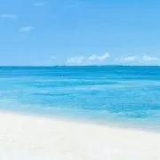 しろさら