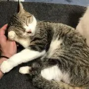 たくお