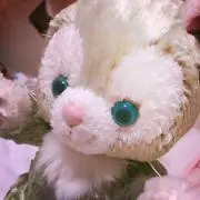 こっちゃん
