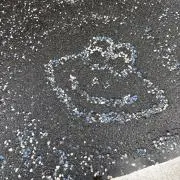 さおの画像