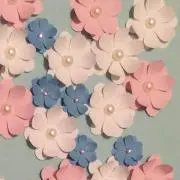 ルナルナの画像