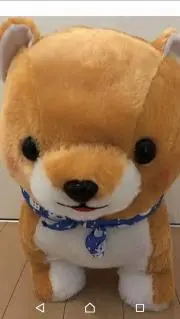 あみいいね前にプロフ一読お願いいたしますの画像