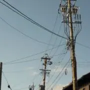 Mの画像