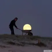 あめりの画像