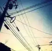 洲の画像