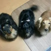 凛
