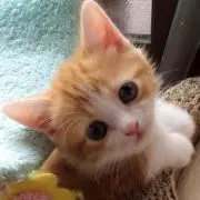 Ryo♡の画像