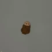 いぬみの画像