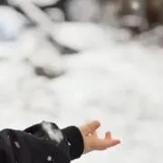ぱちこの画像