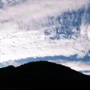 Otivの画像