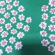 そらまめの画像