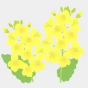 はーちゃんの画像