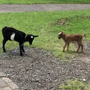 りの画像