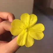 Hai123の画像