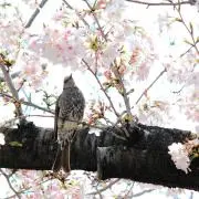 玲◆今週値下げ相談可能の画像