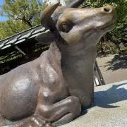 ピンキーの画像