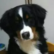 マユママ