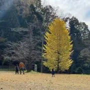 ななっちの画像