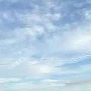 メグの画像