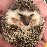 ♥︎の画像