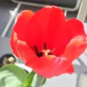 boil211の画像