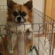 みっちゃん