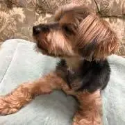 ぼうの画像