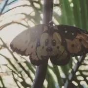 ちちち37の画像