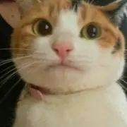 Ryouちゃんの画像