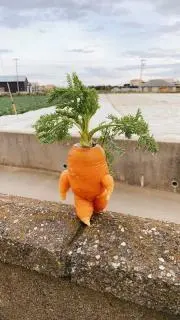ちゃんけいの画像