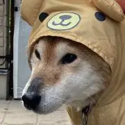 Yukoの画像