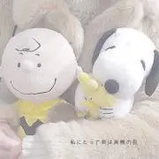 Rs⋆*