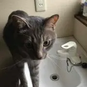 ☆パンダ☆の画像