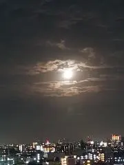 ダァの画像