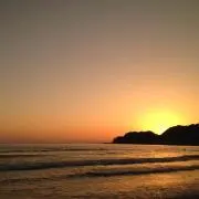 cocoの画像