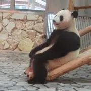 ひはるの画像