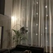 もちちの画像